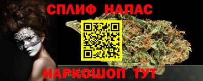 Альфа ПВП Гатчина