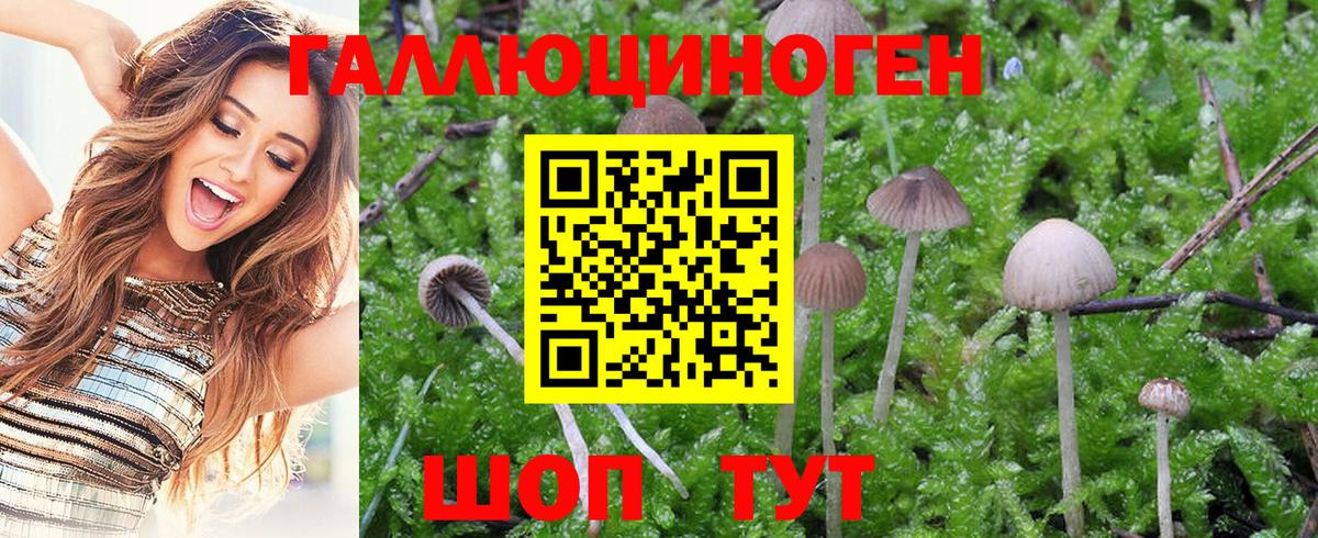 Галлюциногенные грибы GOLDEN TEACHER Набережные Челны