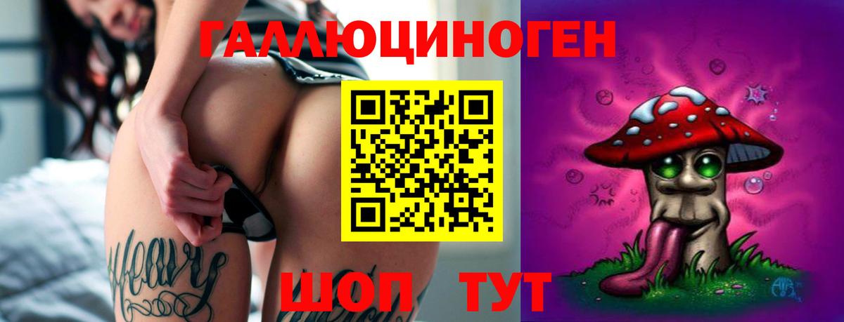 Галлюциногенные грибы Psilocybine cubensis  Галлюциногенные грибы прущие грибы  сколько стоит  Набережные Челны 